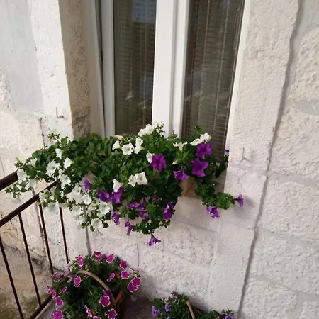 Sime * Trogir